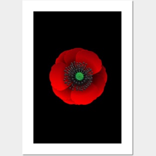 Remberance Day Poppy Flower Posters and Art